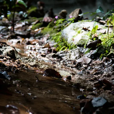 Отели рядом со станцией Станция Моджико