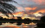 Airlie Beach Lagoon