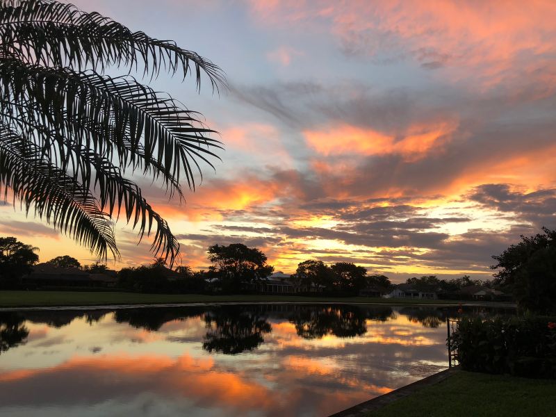 Airlie Beach Lagoon