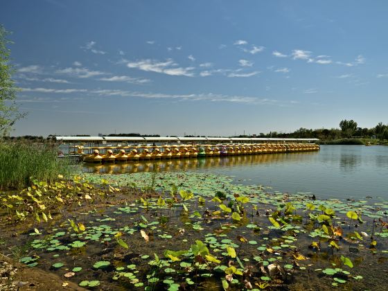 龍泉湖濕地