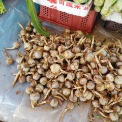 香会街 User Photo