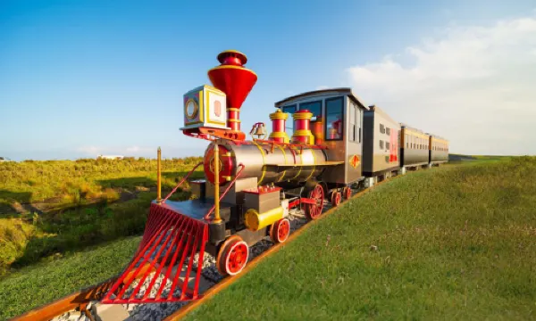 ทุ่งหญ้าอซิลิซี