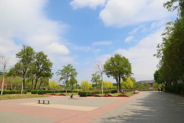 Для бизнес-поездок Отели в г. Лангфанг