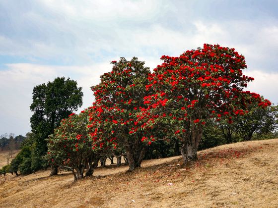 서쪽 경사