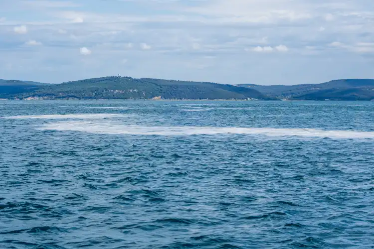 Çanakkale