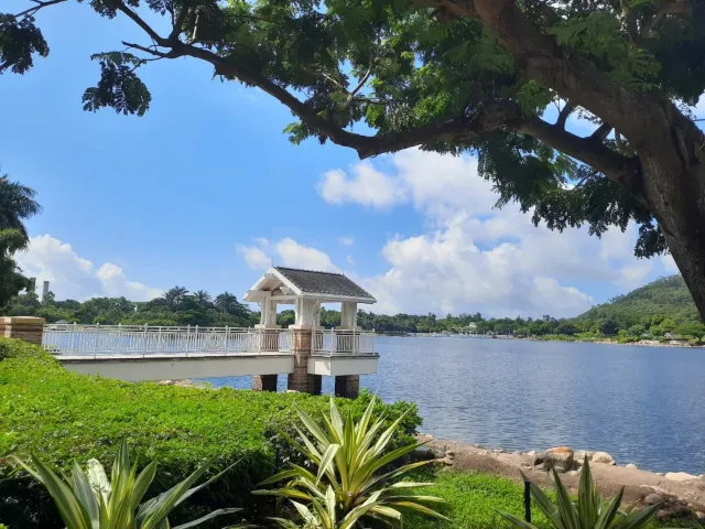 【影相好去處2026】室內外影相好去處合集！文青情侶必去影相景點