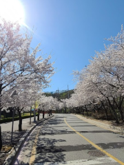 雪峰公園