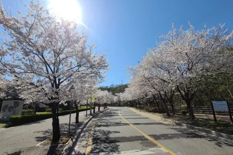 Seolbong Park