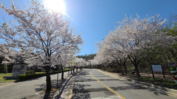 Seolbong Park