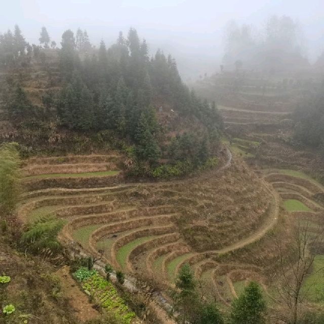 Guilin/Yangshuo Trip