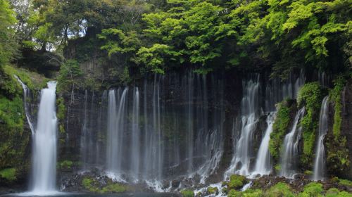 富士箱根伊豆国立公園