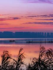 Tangxun Lake