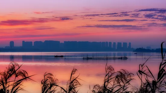 Tangxun Lake