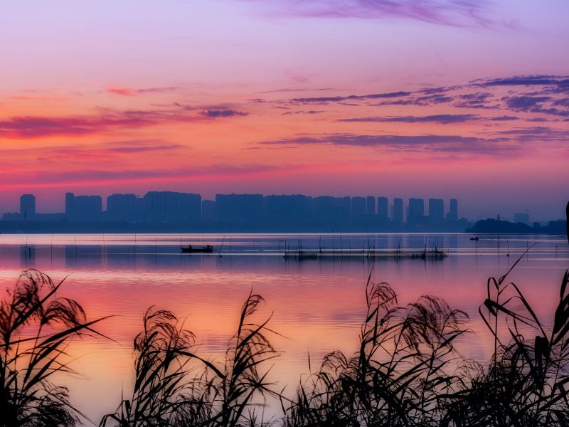 Tangxun Lake