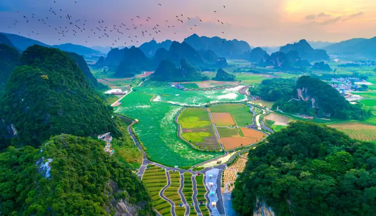 Qingyuan