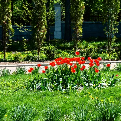 Các khách sạn ở Ohrid