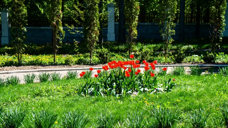 Отели рядом со станцией Станция Син-Фуджи