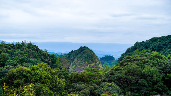 Number One Scholar Rock