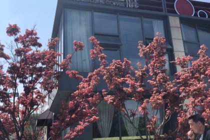 新雜誌咖啡(濱江店)