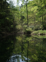 수산사 국립 삼림 공원