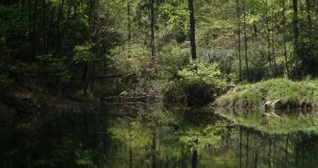 素山寺國家森林公園