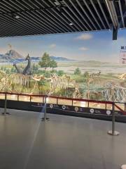 淄博傅山自然地質博物館