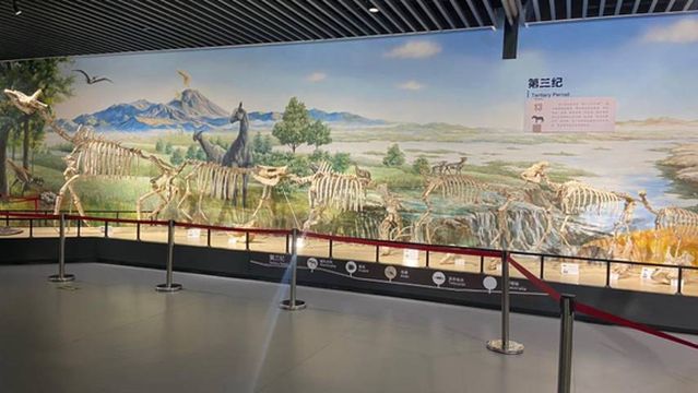 Zibo Fushan Natural Geological Museum