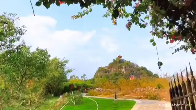 鄰近鐘山公園的酒店