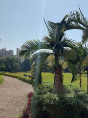 Hiranandani joggers Park