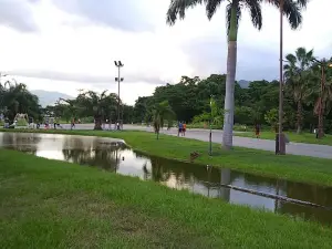 メトロポリタノ・デ・サン・ディエゴ公園