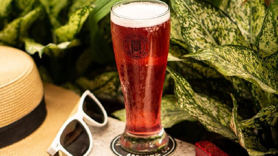 Pasteur Street Craft Beer-AU TRIEU TAPROOM & RESTAURANT