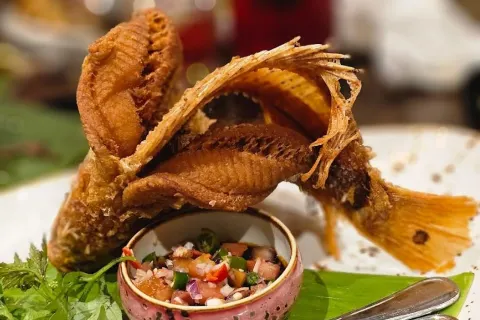 Dancing Fish