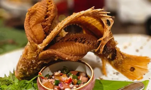 Dancing Fish