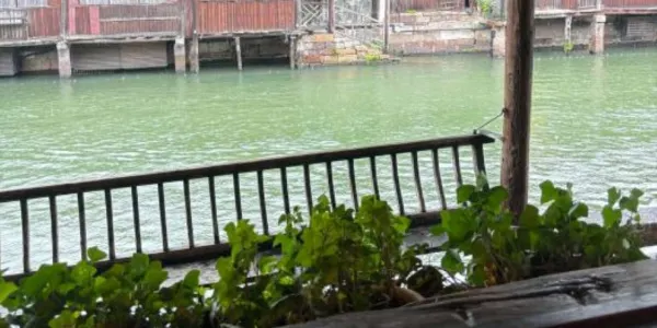 Popular Restaurants for Views & Experiences in Wuzhen