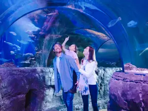 New Jersey SEA LIFE Aquarium
