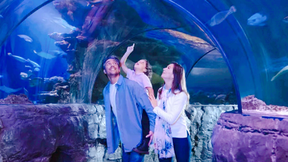 New Jersey SEA LIFE Aquarium