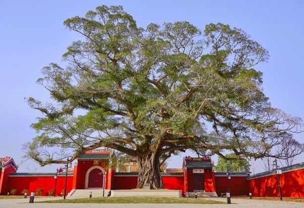 Linhe Ancient City