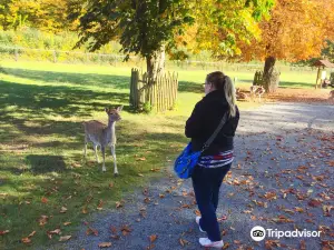 Wildpark Klaushof