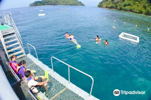 Kota Kinabalu Diving