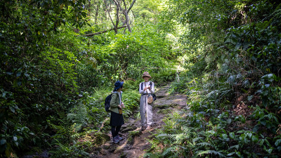 Hiking in Kamakura