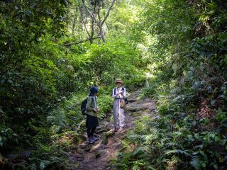 鎌倉日帰り旅行プラン