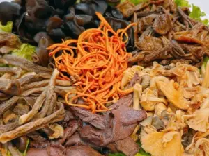 Top 6 Local Restaurants in Arxan