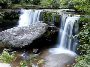 Boardtree Falls