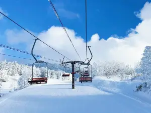 志賀高原 橫手山・澀峠滑雪場