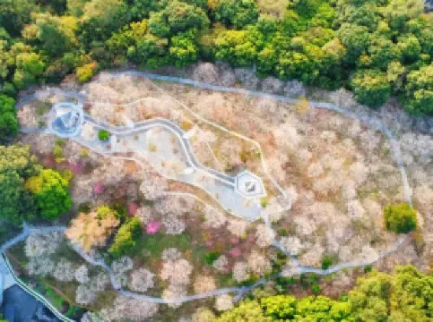 Luofu Mountain Scenic Area