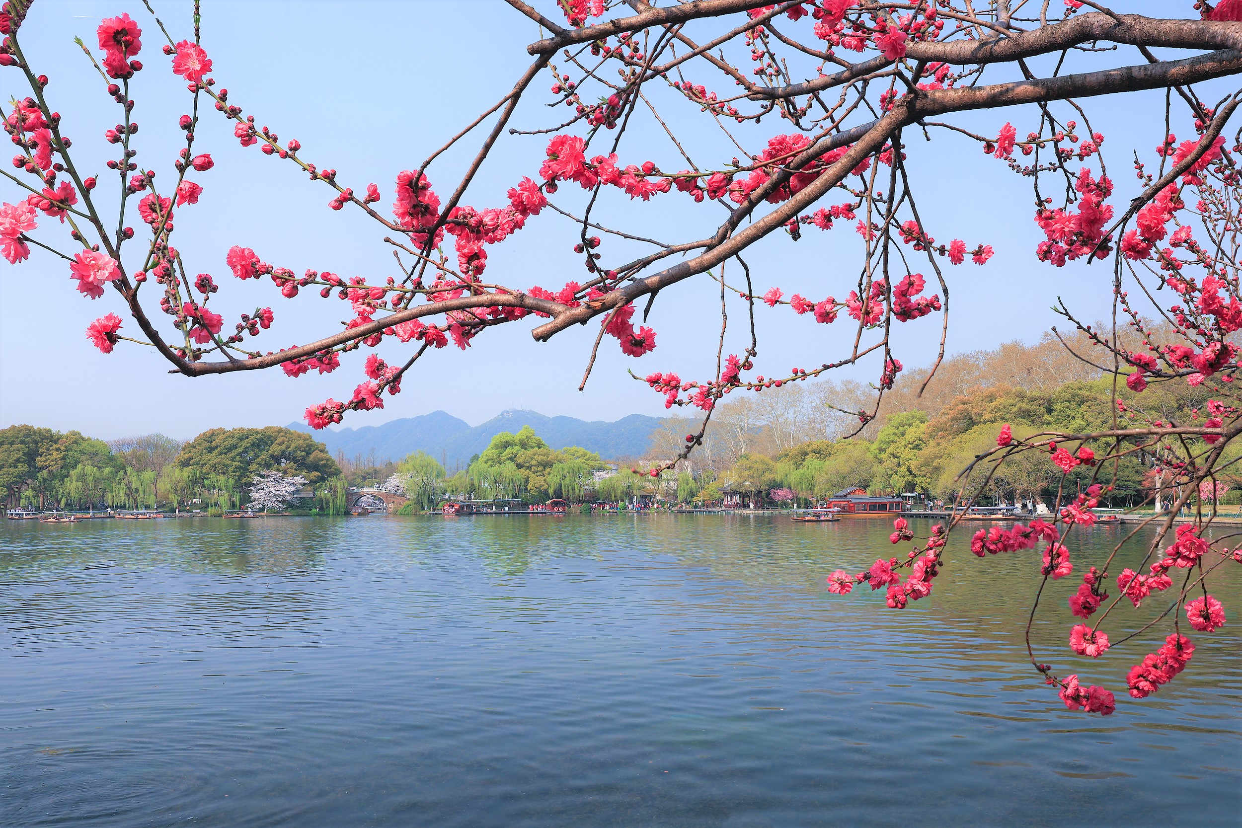 西湖風景名勝區