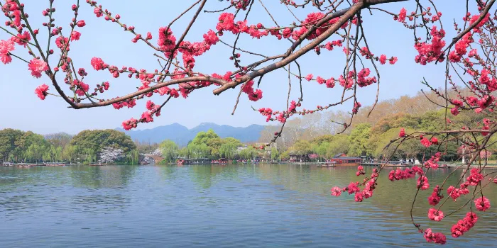 West Lake image 2