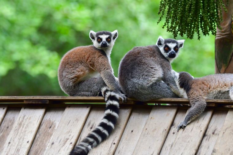 深センで失敗しないホテル選びの注意点