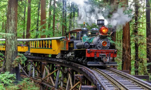 Roaring Camp