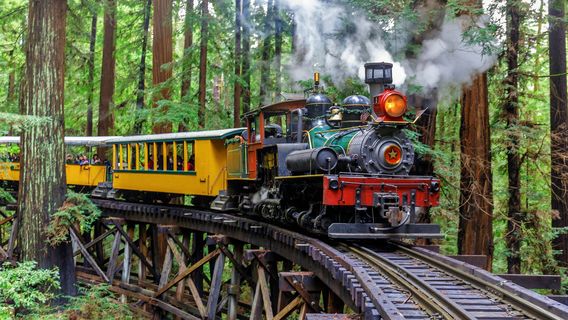 Roaring Camp